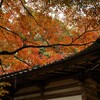 甍を包む秋色