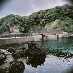佐渡ヶ島2024-8