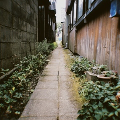 時、刻ム　トキ