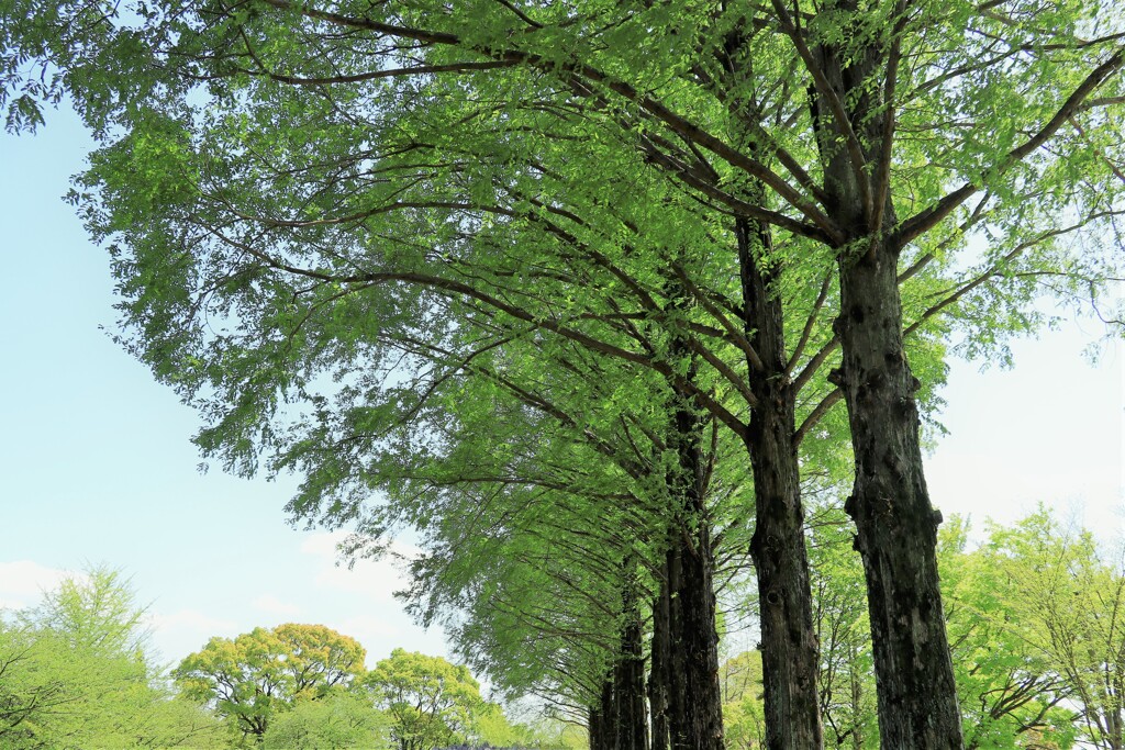 城山公園