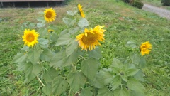 KIMG9904