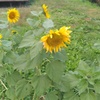 KIMG9904