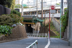 言の葉の庭