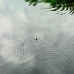 IMG_20230824_235025_788