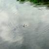 IMG_20230824_235025_788