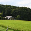 田舎の風景