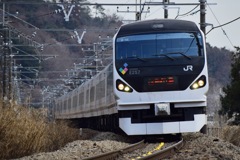 裏高尾を快走するE257系