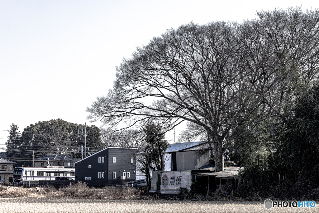 225A5883-Enhanced-NR-4