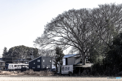 225A5883-Enhanced-NR-4