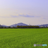 朝の宇部線