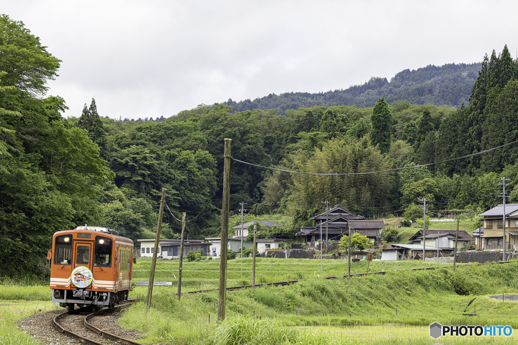 のんびりと