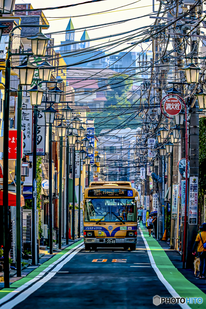 山手の朝