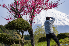 富士を撮る