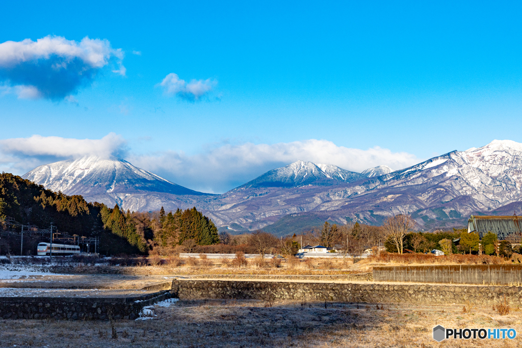 雪が降った朝