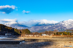 雪が降った朝