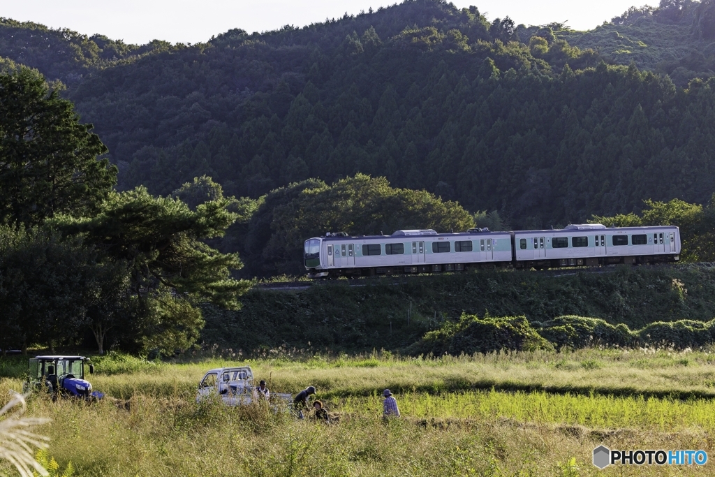 野良仕事