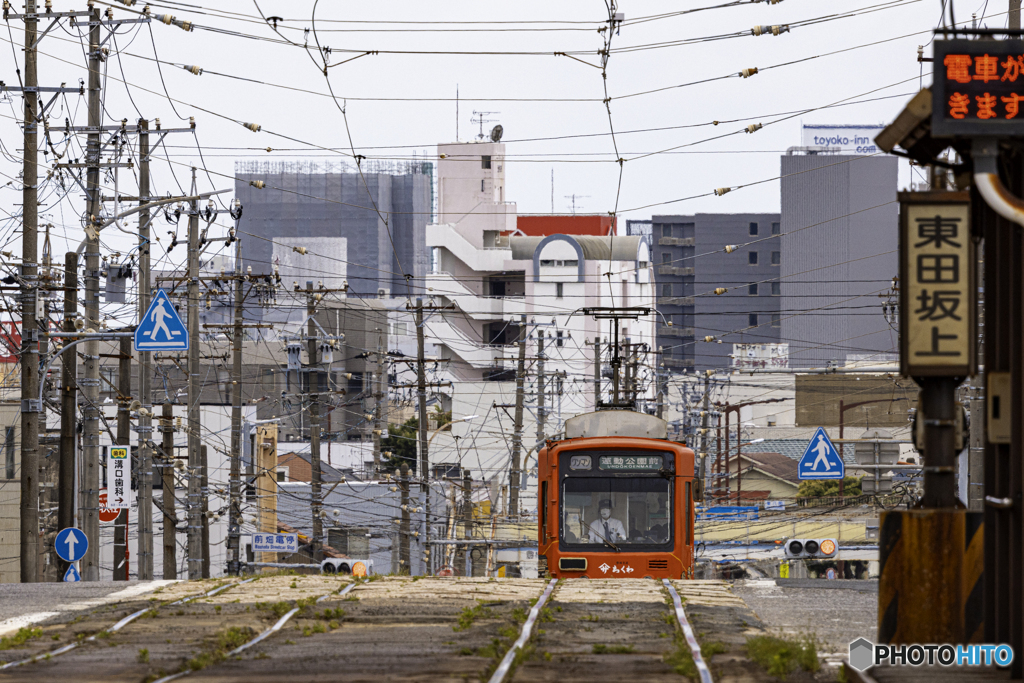 電車がきます