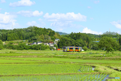 単行がゆく