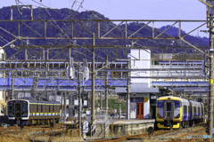 安房鴨川