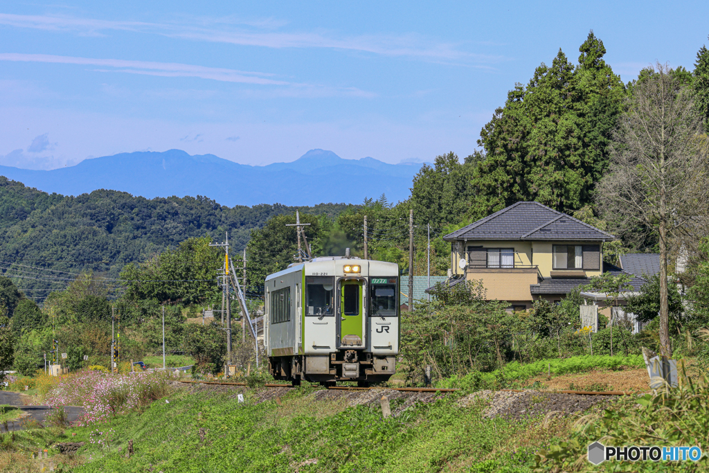 単行がゆく