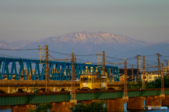 西日に向かう八五郎
