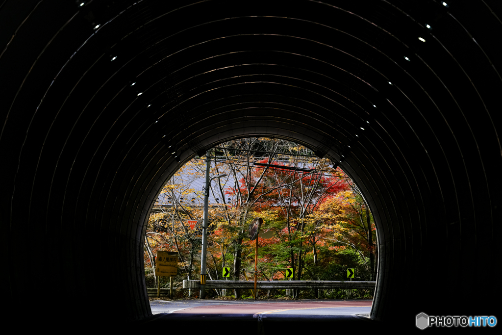 トンネルの向こうの秋