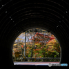 トンネルの向こうの秋