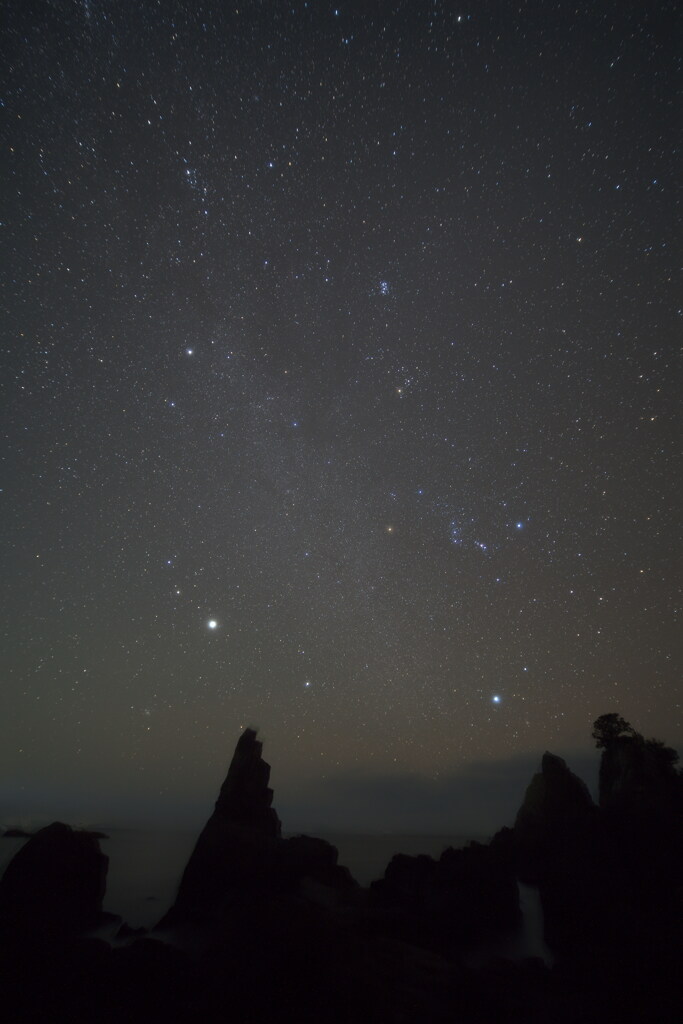 海金剛と冬の星達