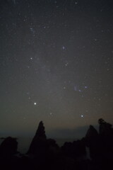 海金剛と冬の星達