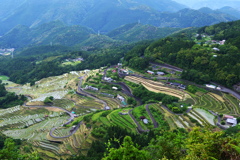 丸山千枚田