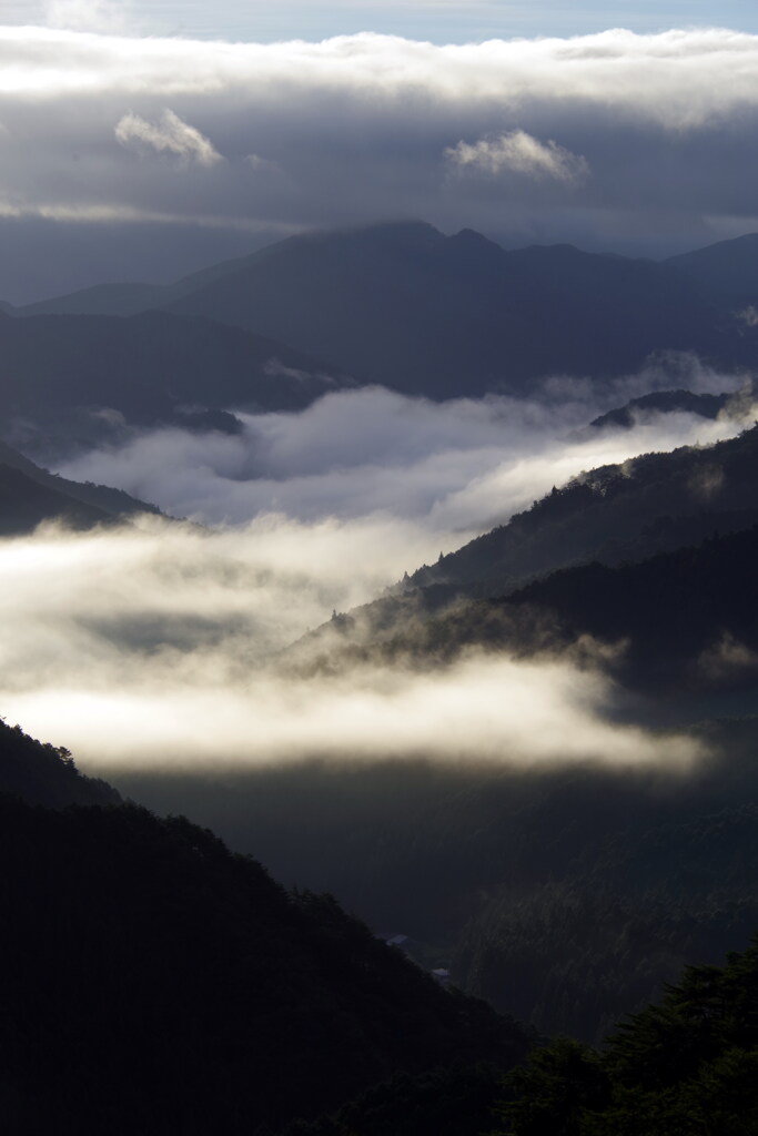 雲海