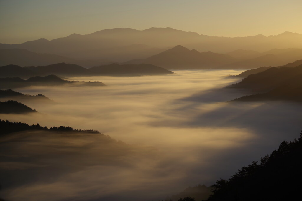 雲海