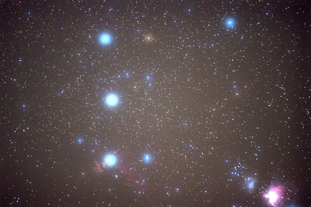 馬頭星雲を狙って見た