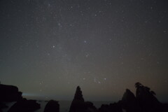 海金剛と冬の星達