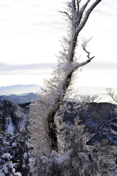 雪景色