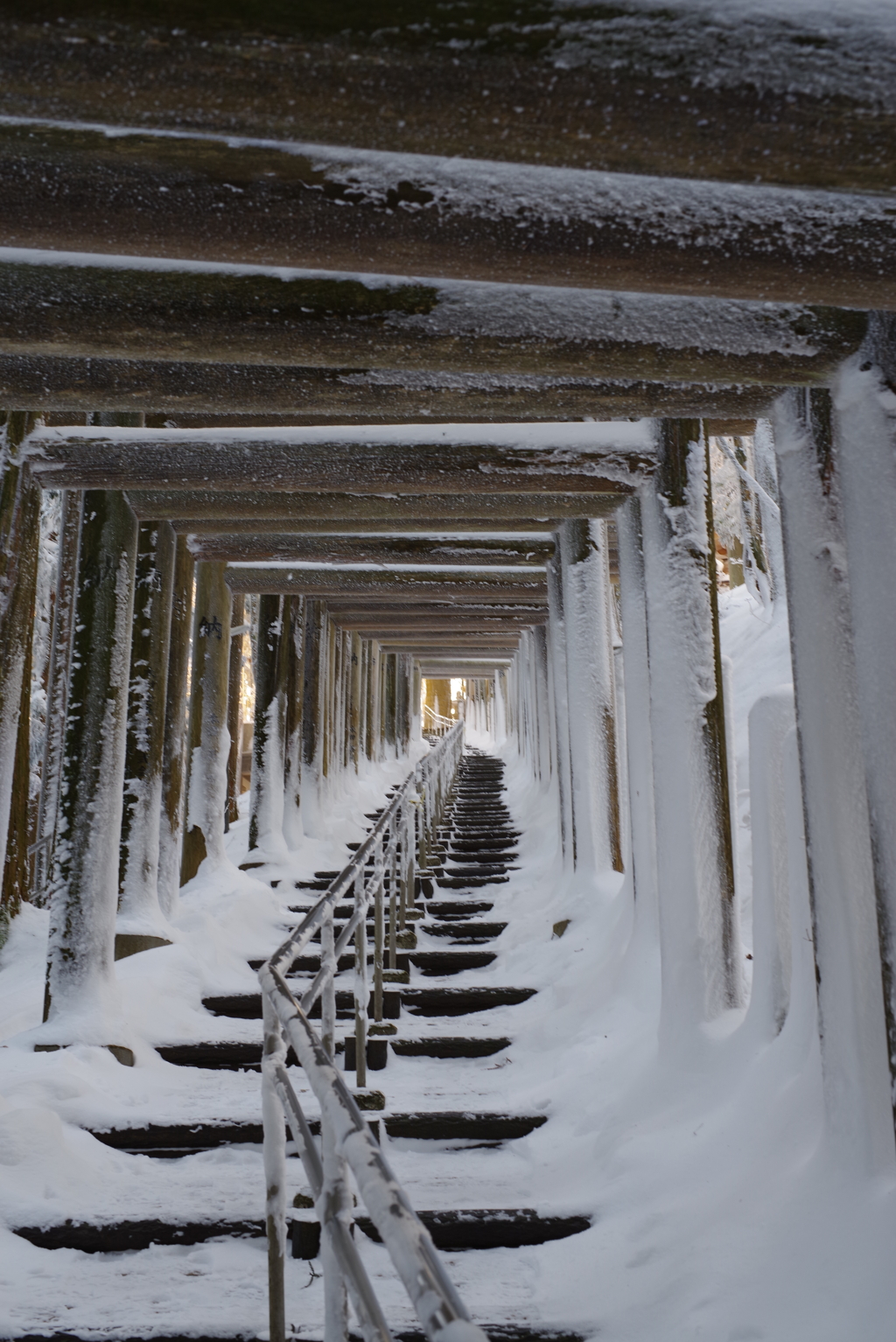 雪景色