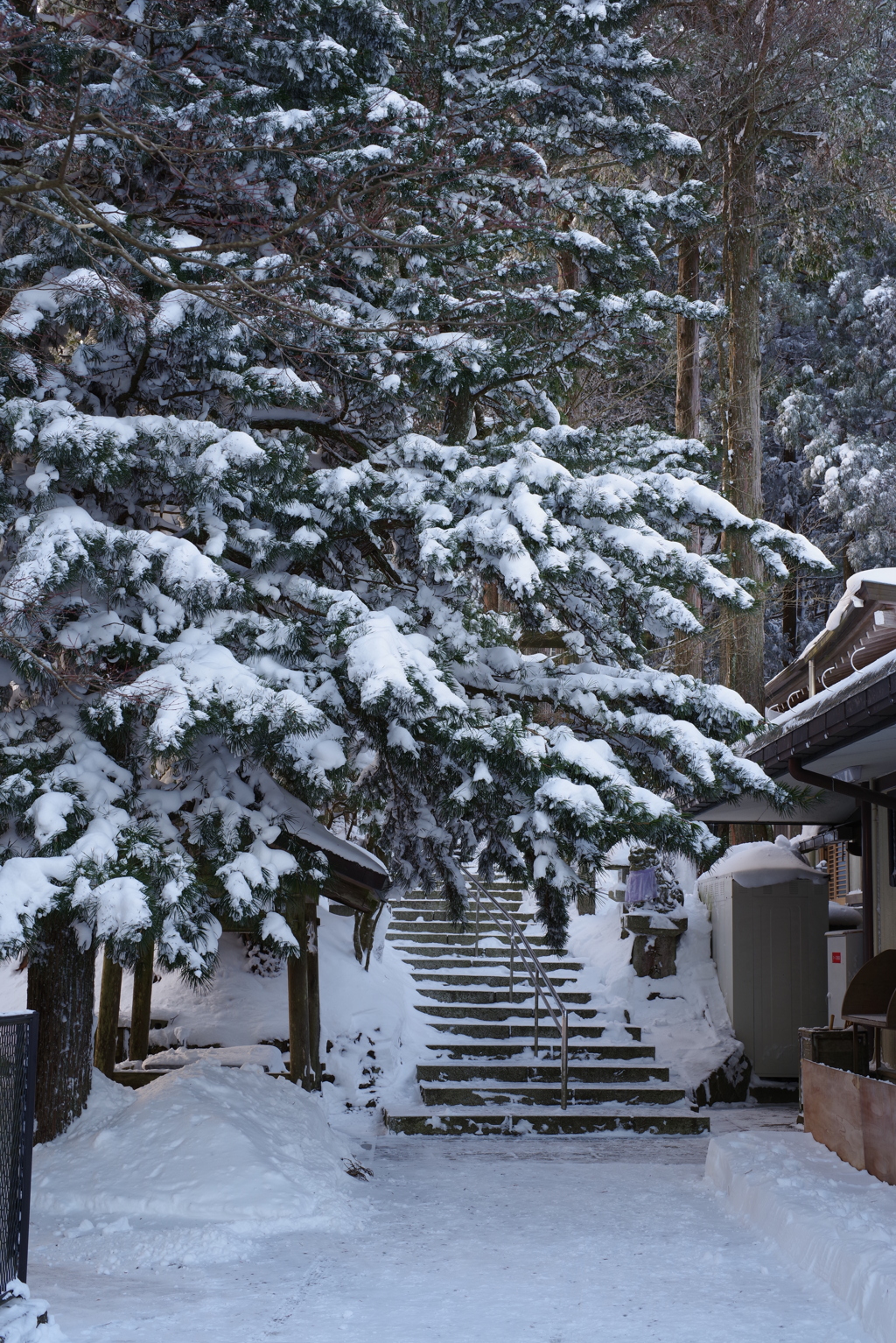 雪景色