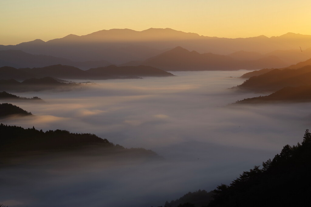 雲海