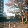 夕暮れの街路