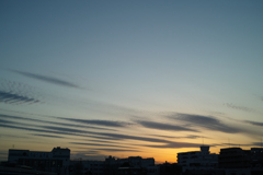 SDIM0050