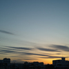 SDIM0050