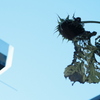 DSCF7768