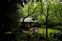 雨後の庵