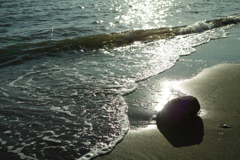 DP2M0160