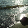DP2M0160