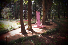 PA030025