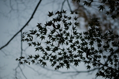 P1110029