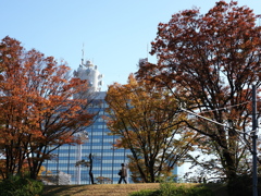 代々木