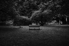 DSCF8049
