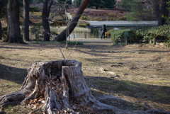 IMGP0075